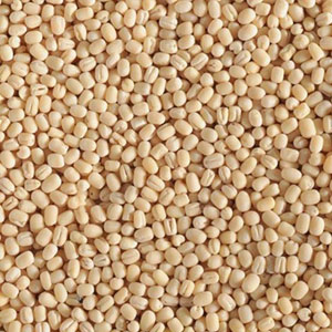 Urad Daal