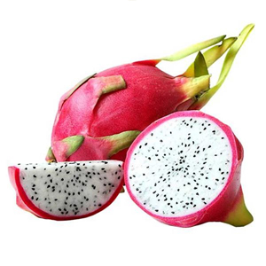 Dragon Fruit - White