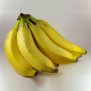 Cavendish Banana